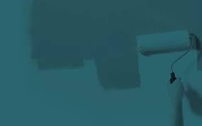 Rouleau felpon extra 22cm 50mm